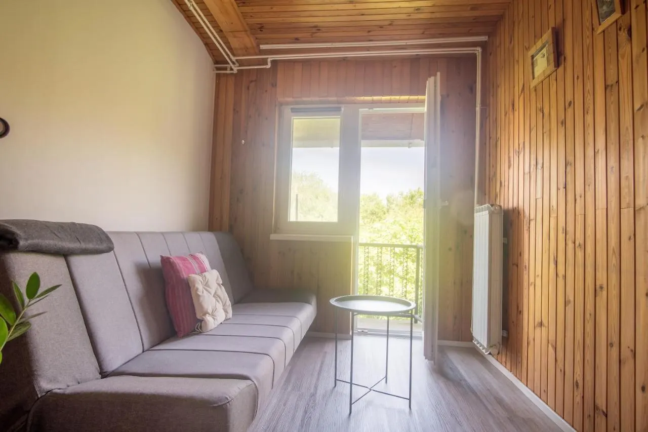 Arto Castle View Apartment Ljubljana 0*,